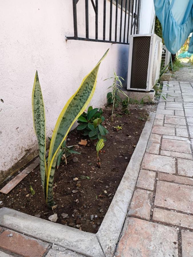 El Costenito Hostal 베라크루즈 외부 사진